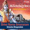 About Shiva Nama Smaranam Song